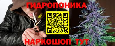 apvp Пугачёв