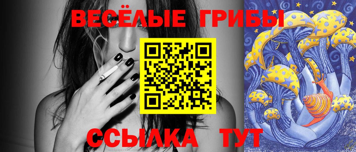 Саяногорск  Псилоцибиновые грибы мухоморы  Вход с VPN 