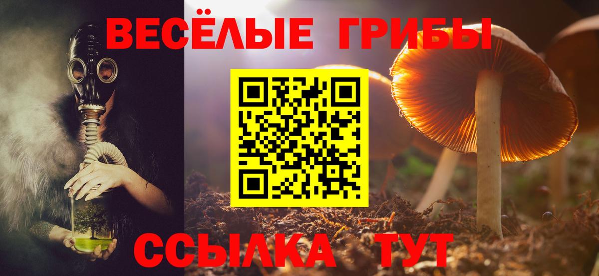 Галлюциногенные грибы мицелий Саяногорск